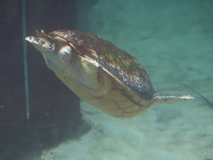 Columbus Zoo