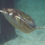 Columbus Zoo