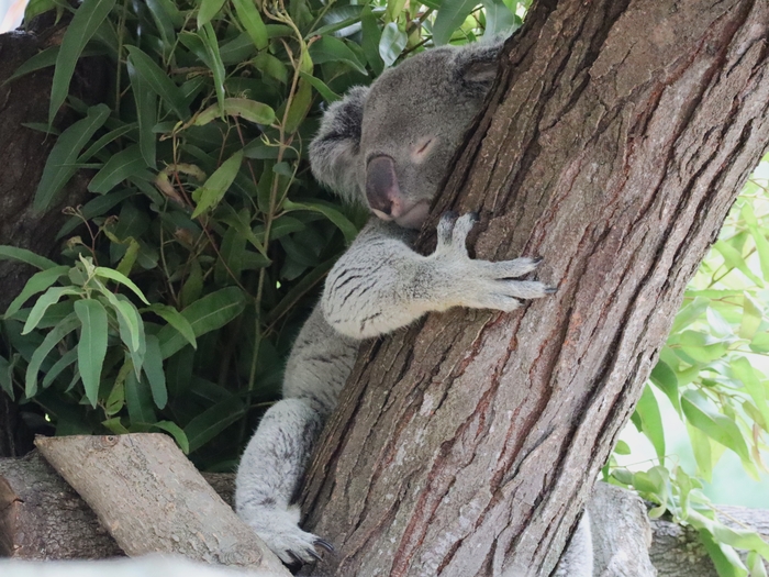 Columbus Zoo