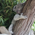 Columbus Zoo