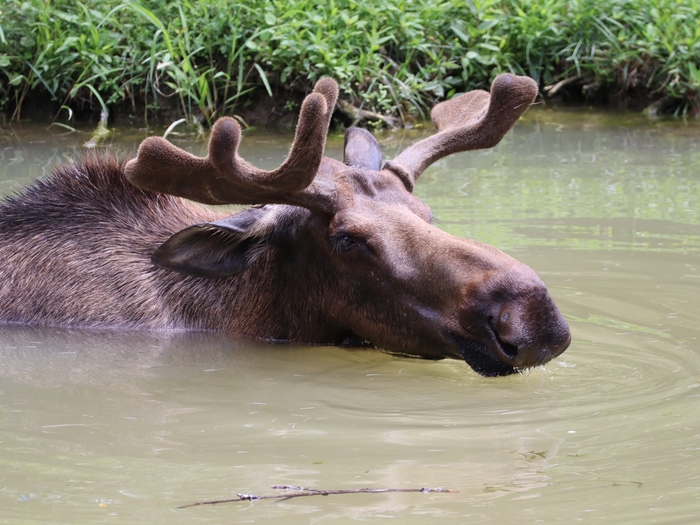 Columbus Zoo