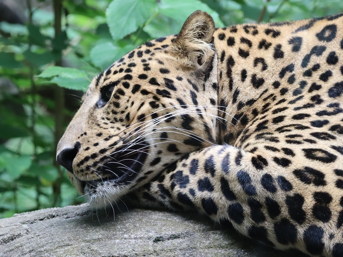 Columbus Zoo
