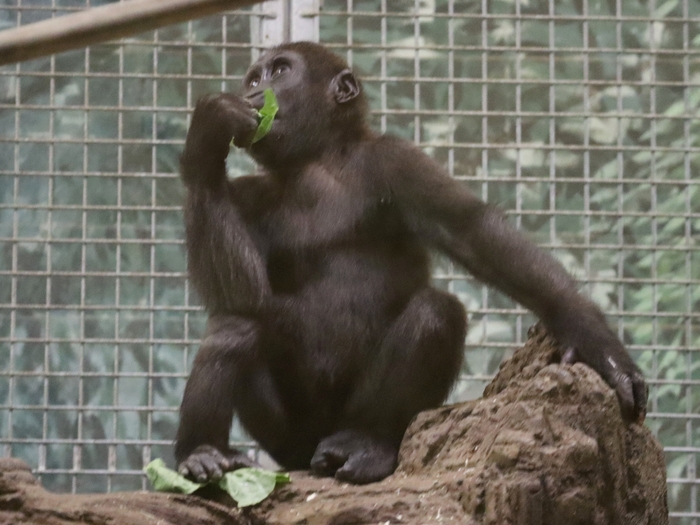 Columbus Zoo
