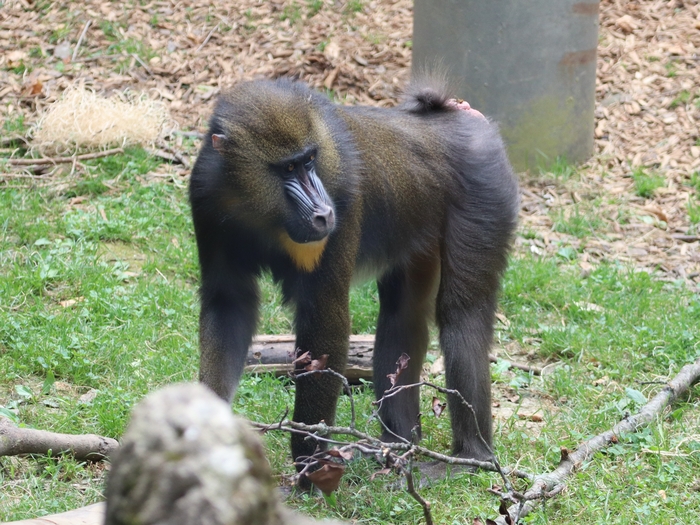 Columbus Zoo