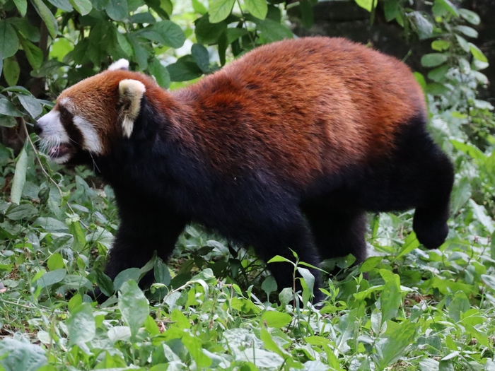Columbus Zoo