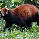Columbus Zoo
