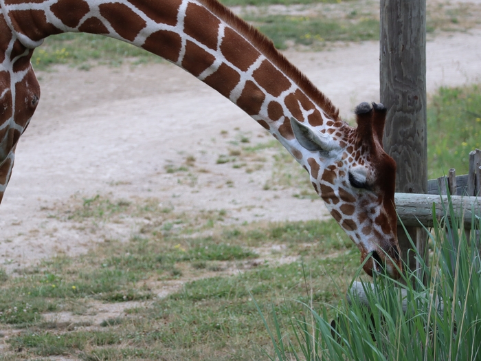 Columbus Zoo