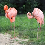 Columbus Zoo