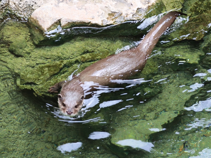 Columbus Zoo