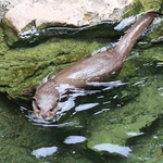 Columbus Zoo