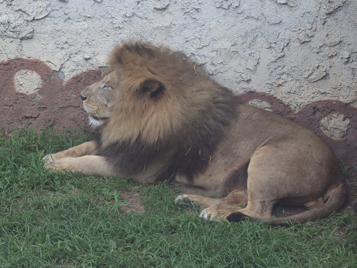 Columbus Zoo