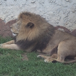 Columbus Zoo