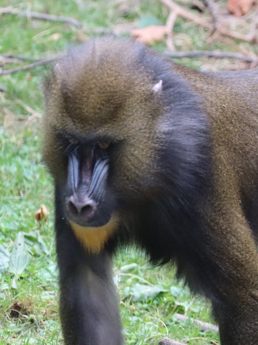 Columbus Zoo