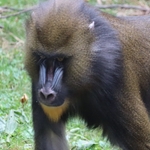Columbus Zoo