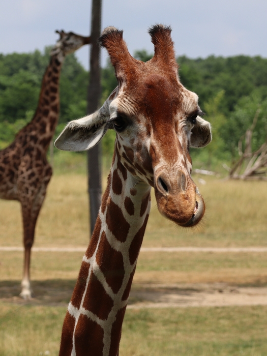 Columbus Zoo
