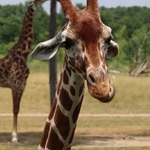 Columbus Zoo