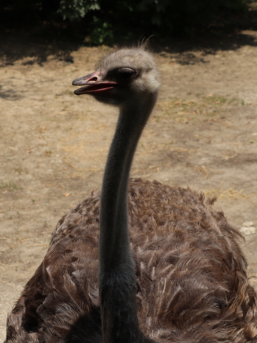 Columbus Zoo