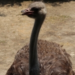Columbus Zoo
