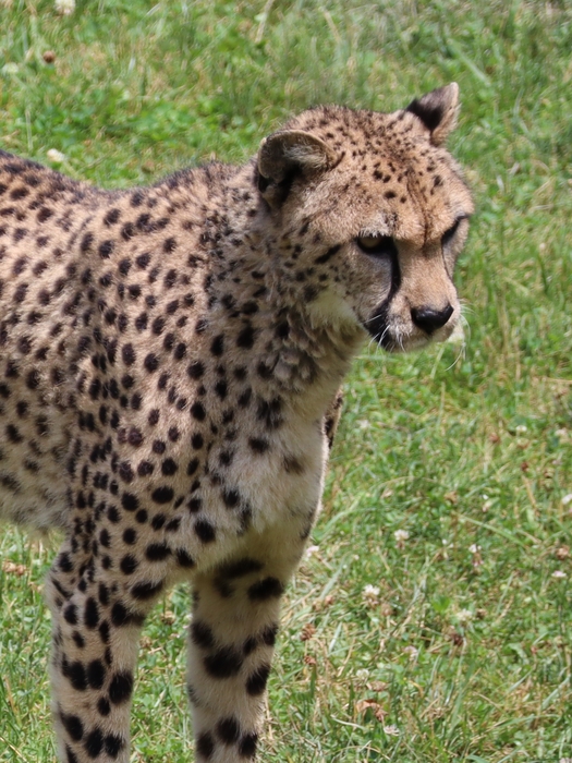 Columbus Zoo