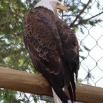 Columbus Zoo