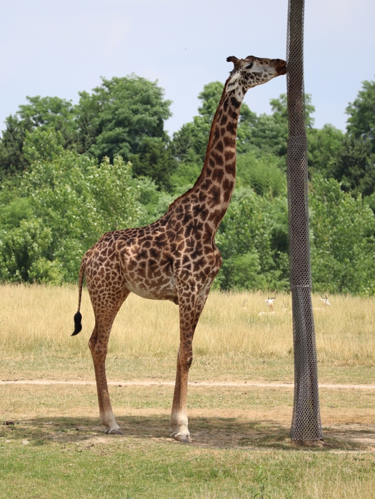 Columbus Zoo