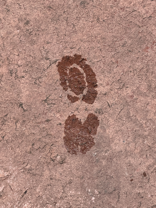 My Footprint