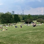 Primrose Hill