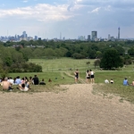 Primrose Hill