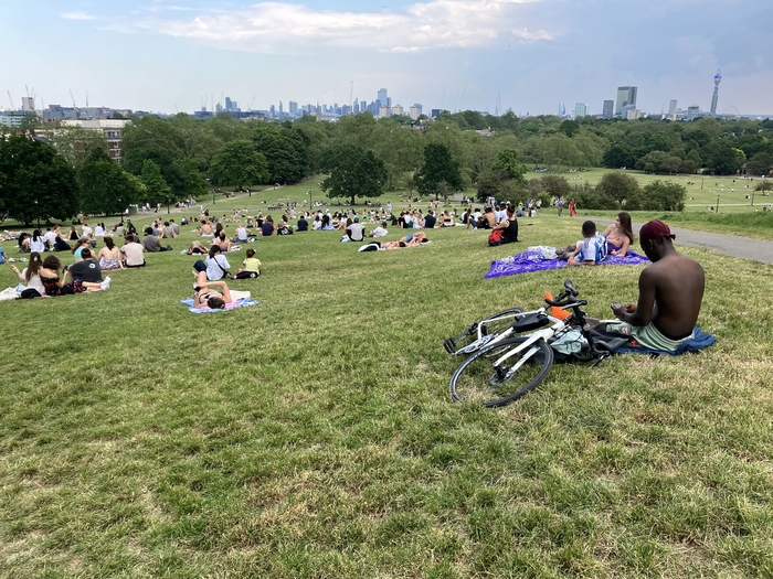 Primrose Hill