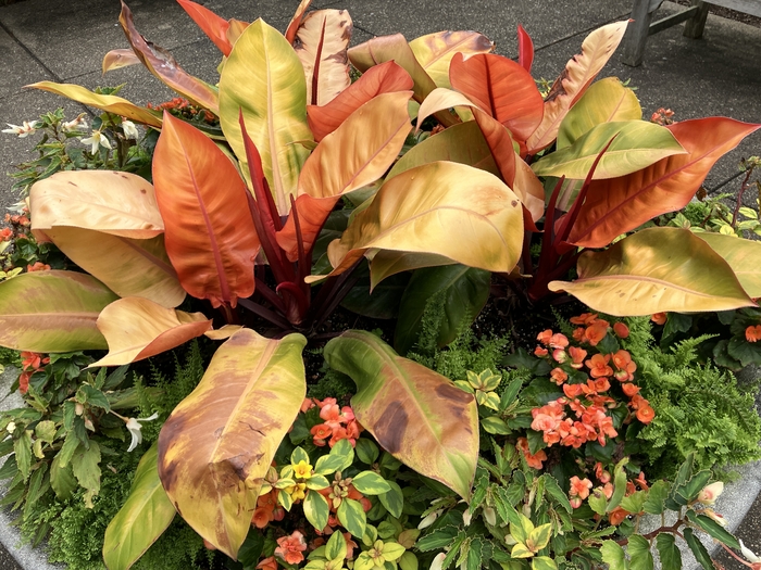 Arboretum at Penn State