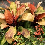 Arboretum at Penn State