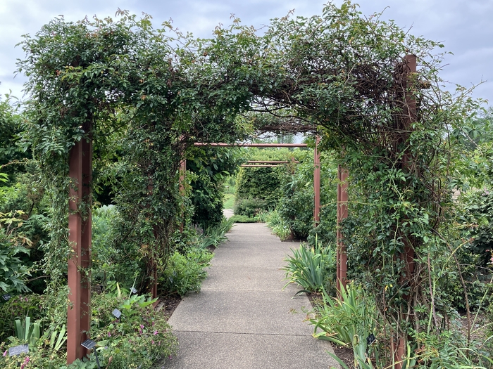 Arboretum at Penn State