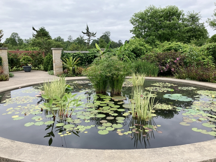 Arboretum at Penn State