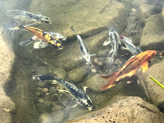 Arboretum at Penn State