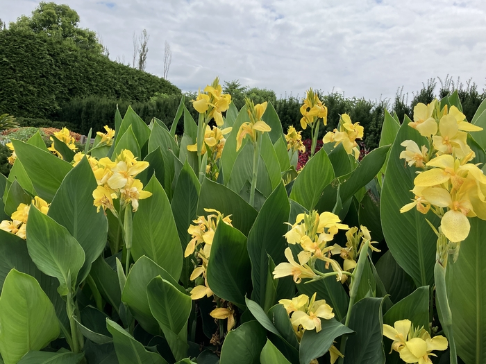 Arboretum at Penn State