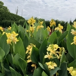 Arboretum at Penn State