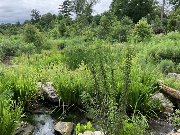Arboretum at Penn State