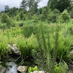 Arboretum at Penn State