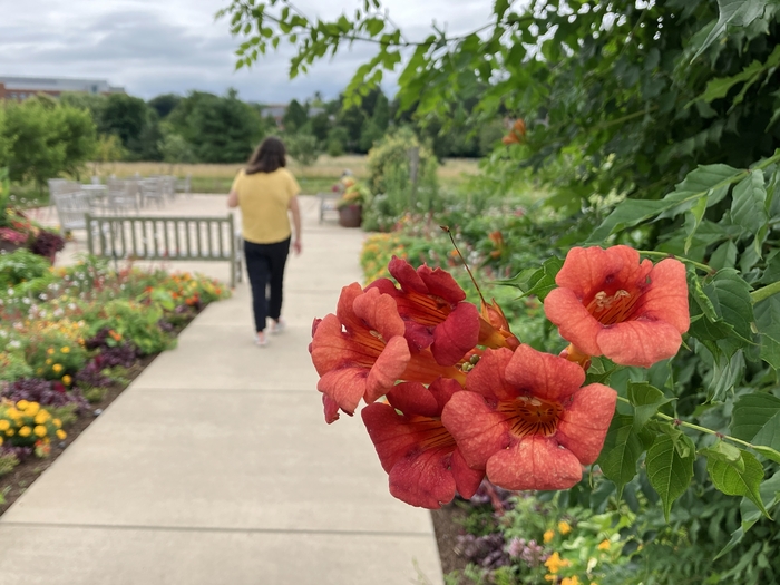Arboretum at Penn State