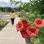 Arboretum at Penn State
