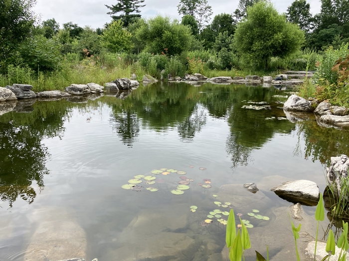 Arboretum at Penn State