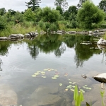 Arboretum at Penn State
