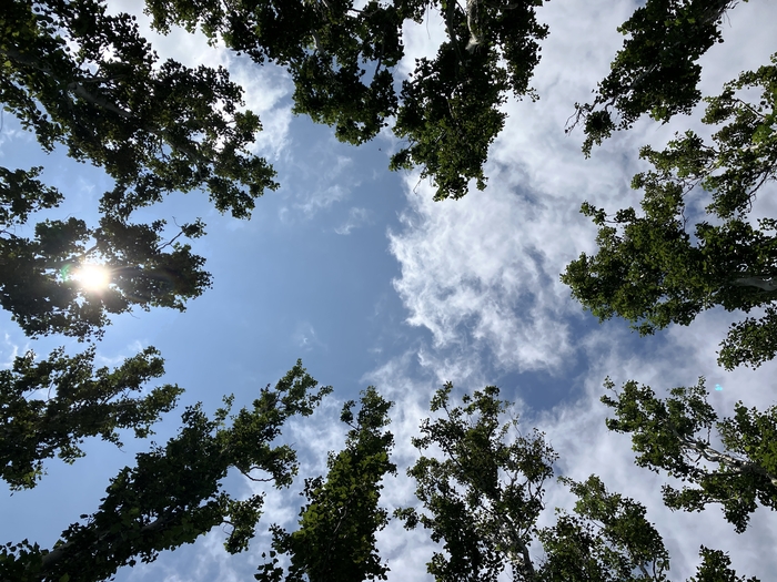 Arboretum at Penn State