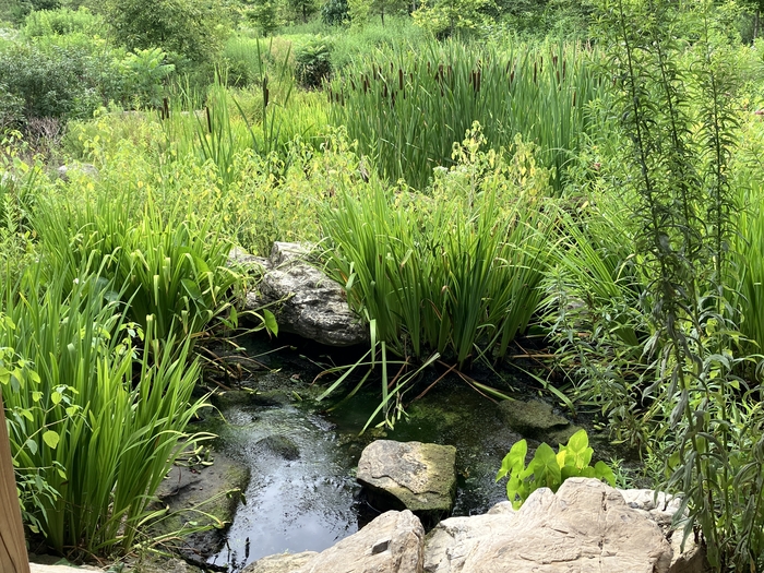 Arboretum at Penn State