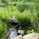 Arboretum at Penn State