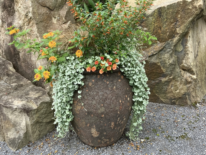 Arboretum at Penn State