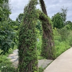 Arboretum at Penn State
