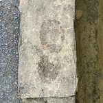 Arboretum at Penn State