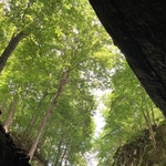 Penn's Cave