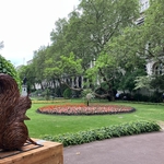 Whitehall Gardens
